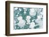 Ice Bubbles-Rob Tilley-Framed Photographic Print