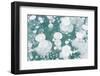 Ice Bubbles-Rob Tilley-Framed Photographic Print