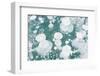 Ice Bubbles-Rob Tilley-Framed Photographic Print