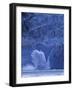 Ice Calves off Tidewater Surprise Glacier, Harriman Fjord, Prince William Sound, Alaska, USA-Hugh Rose-Framed Photographic Print