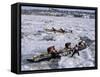 Ice Canoe Races on the St. Lawrence River During Winter Carnival, Quebec, Canada-Alison Wright-Framed Stretched Canvas