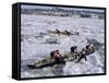 Ice Canoe Races on the St. Lawrence River During Winter Carnival, Quebec, Canada-Alison Wright-Framed Stretched Canvas