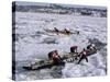 Ice Canoe Races on the St. Lawrence River During Winter Carnival, Quebec, Canada-Alison Wright-Stretched Canvas