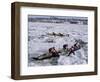 Ice Canoe Races on the St. Lawrence River During Winter Carnival, Quebec, Canada-Alison Wright-Framed Photographic Print