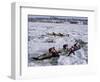 Ice Canoe Races on the St. Lawrence River During Winter Carnival, Quebec, Canada-Alison Wright-Framed Photographic Print