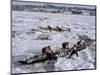 Ice Canoe Races on the St. Lawrence River During Winter Carnival, Quebec, Canada-Alison Wright-Mounted Photographic Print