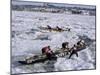 Ice Canoe Races on the St. Lawrence River During Winter Carnival, Quebec, Canada-Alison Wright-Mounted Photographic Print