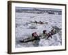 Ice Canoe Races on the St. Lawrence River During Winter Carnival, Quebec, Canada-Alison Wright-Framed Photographic Print