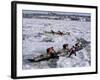 Ice Canoe Races on the St. Lawrence River During Winter Carnival, Quebec, Canada-Alison Wright-Framed Photographic Print