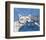 Ice Cats-Kevin Snyder-Framed Giclee Print