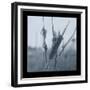 Ice Cattail 1-Gordon Semmens-Framed Giclee Print