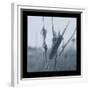 Ice Cattail 1-Gordon Semmens-Framed Giclee Print