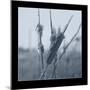 Ice Cattail 1-Gordon Semmens-Mounted Giclee Print