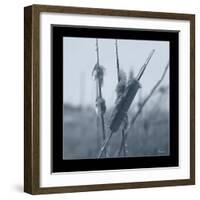 Ice Cattail 1-Gordon Semmens-Framed Giclee Print