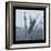 Ice Cattail 1-Gordon Semmens-Framed Giclee Print