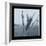 Ice Cattail 1-Gordon Semmens-Framed Giclee Print