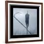 Ice Cattail 2-Gordon Semmens-Framed Giclee Print