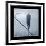 Ice Cattail 2-Gordon Semmens-Framed Giclee Print