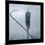 Ice Cattail 2-Gordon Semmens-Mounted Giclee Print