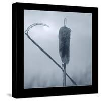 Ice Cattail 2-Gordon Semmens-Stretched Canvas