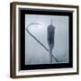 Ice Cattail 2-Gordon Semmens-Framed Giclee Print