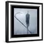 Ice Cattail 2-Gordon Semmens-Framed Premium Giclee Print