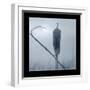 Ice Cattail 2-Gordon Semmens-Framed Premium Giclee Print