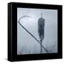 Ice Cattail 2-Gordon Semmens-Framed Stretched Canvas