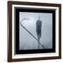 Ice Cattail 2-Gordon Semmens-Framed Giclee Print