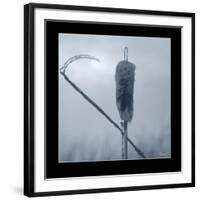 Ice Cattail 2-Gordon Semmens-Framed Giclee Print