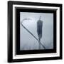 Ice Cattail 2-Gordon Semmens-Framed Giclee Print