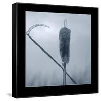 Ice Cattail 2-Gordon Semmens-Framed Stretched Canvas