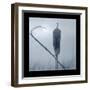 Ice Cattail 2-Gordon Semmens-Framed Giclee Print