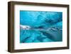 Ice cave below the Breidamerkurjokull Glacier, Iceland-David Noton-Framed Photographic Print