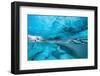 Ice cave below the Breidamerkurjokull Glacier, Iceland-David Noton-Framed Photographic Print