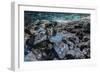 Ice Cave, Vatnajokull, South Iceland-demerzel21-Framed Photographic Print