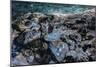 Ice Cave, Vatnajokull, South Iceland-demerzel21-Mounted Photographic Print