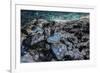 Ice Cave, Vatnajokull, South Iceland-demerzel21-Framed Photographic Print