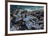 Ice Cave, Vatnajokull, South Iceland-demerzel21-Framed Photographic Print