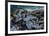 Ice Cave, Vatnajokull, South Iceland-demerzel21-Framed Photographic Print