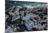 Ice Cave, Vatnajokull, South Iceland-demerzel21-Mounted Photographic Print