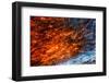 Ice Cave, Vatnajokull, South Iceland-demerzel21-Framed Photographic Print