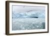 Ice Chunks from Nearby Glaciers Float in the Arctic Sea, Svalbard Islands, Norway., 2022 (Photo)-Sisse Brimberg-Framed Giclee Print
