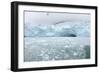 Ice Chunks from Nearby Glaciers Float in the Arctic Sea, Svalbard Islands, Norway., 2022 (Photo)-Sisse Brimberg-Framed Giclee Print