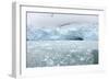 Ice Chunks from Nearby Glaciers Float in the Arctic Sea, Svalbard Islands, Norway., 2022 (Photo)-Sisse Brimberg-Framed Giclee Print