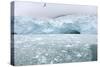 Ice Chunks from Nearby Glaciers Float in the Arctic Sea, Svalbard Islands, Norway., 2022 (Photo)-Sisse Brimberg-Stretched Canvas