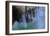 Ice Cicles On Mossy Stump With Icy Water-Anthony Paladino-Framed Giclee Print