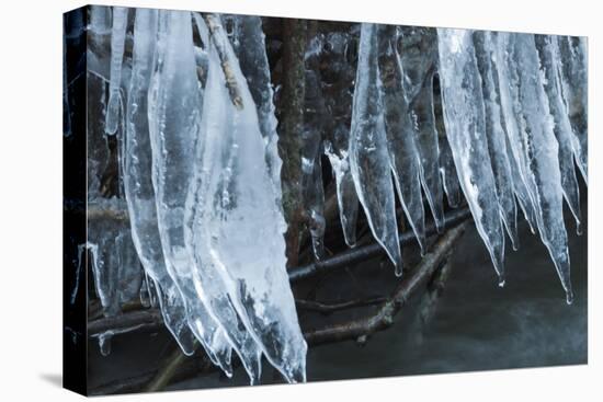 Ice Cicles Over Beaver Dam-Anthony Paladino-Stretched Canvas