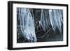 Ice Cicles Over Beaver Dam-Anthony Paladino-Framed Giclee Print