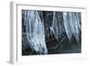 Ice Cicles Over Beaver Dam-Anthony Paladino-Framed Giclee Print